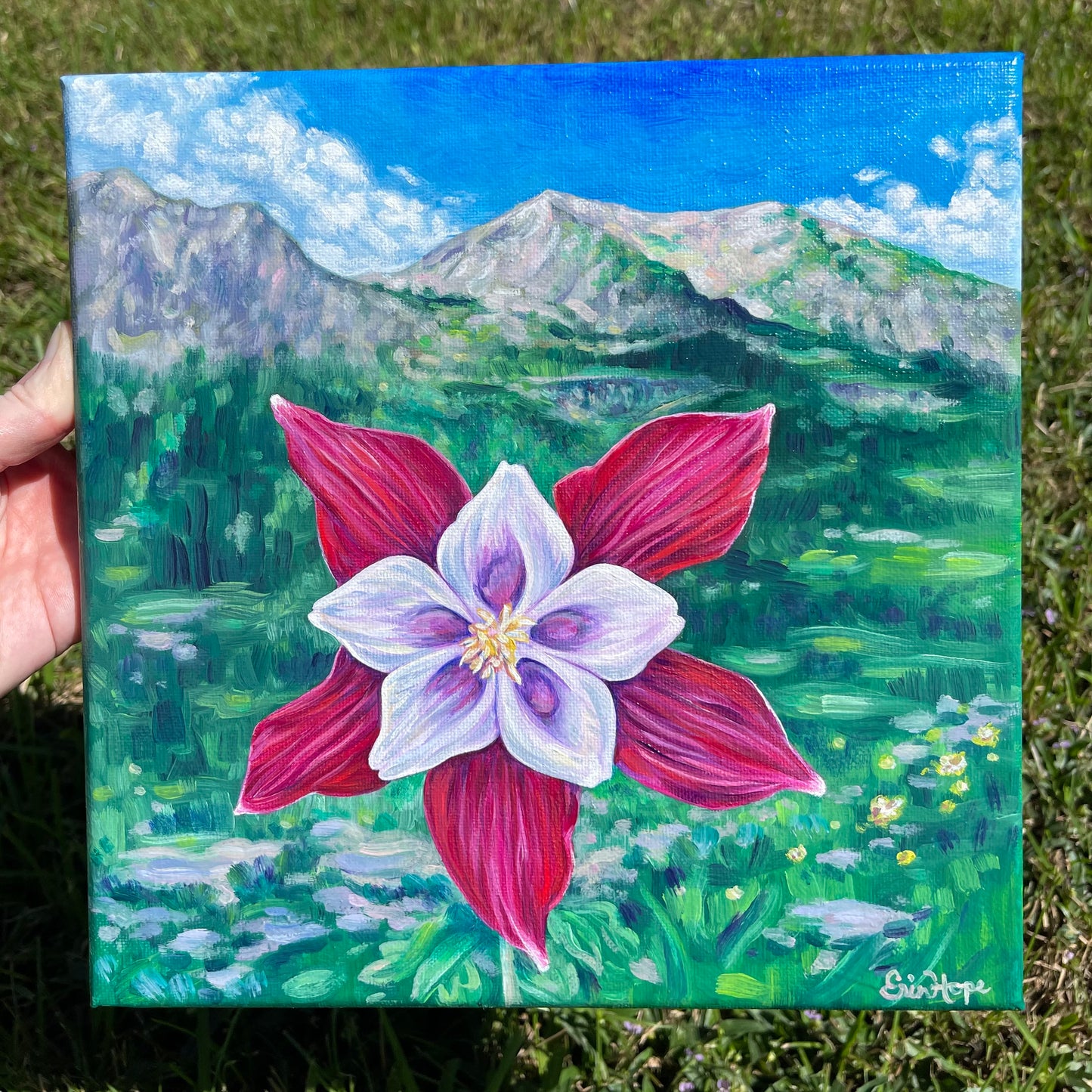 Burgundy Columbine, 10”