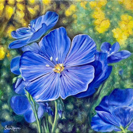 Blue Flax, 10”