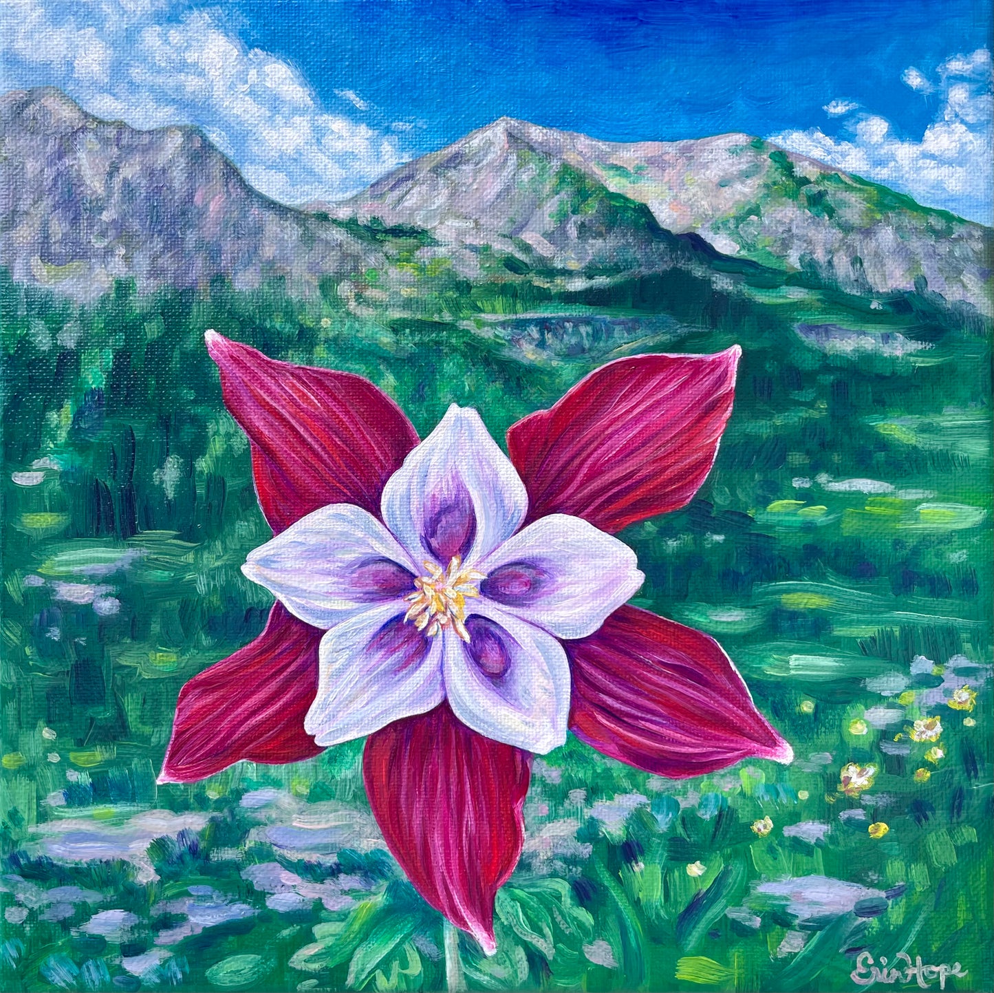 Burgundy Columbine, 10”