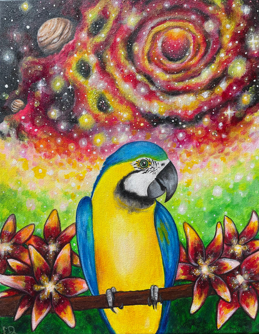 Magical Macaw, 11"x14"