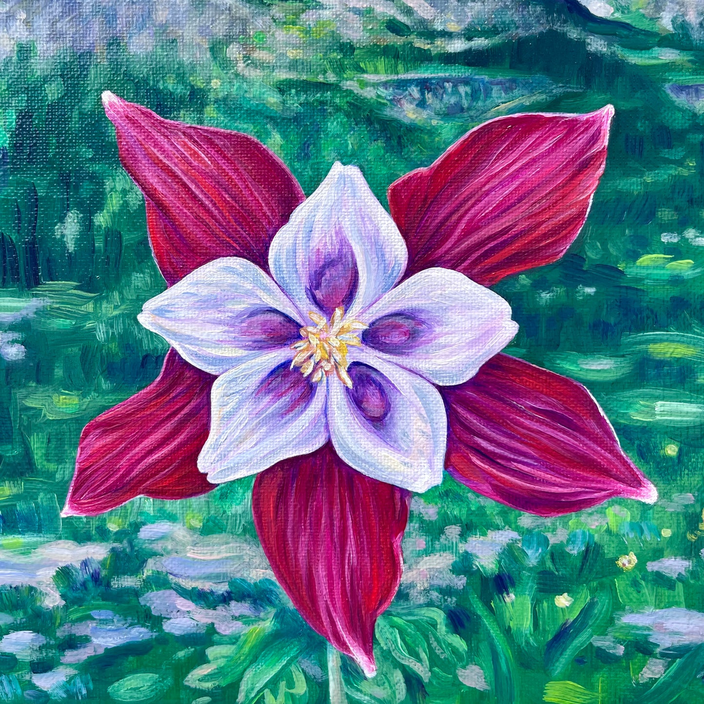 Burgundy Columbine, 10”